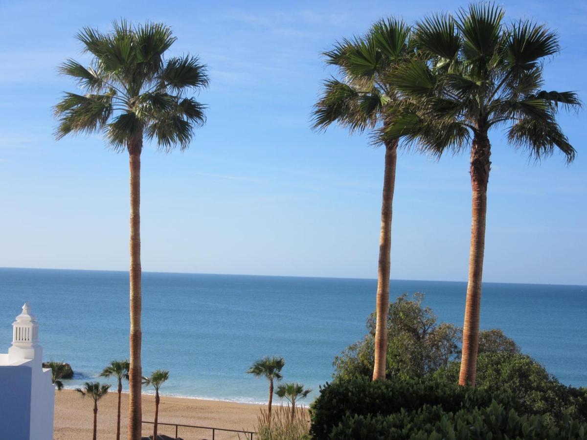 Spacious Comfort 1 Bedroom With Pool 300m From The Apartamento